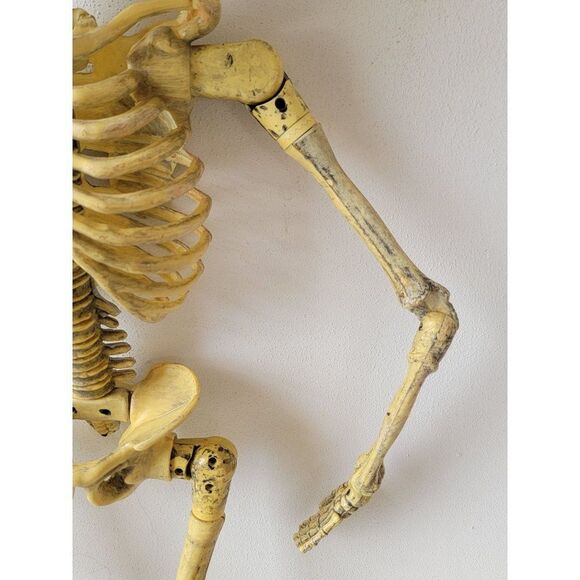 Vintage Paper magic 1998 AS IS animated skeleton Halloween hanging prop decor - Picture 9 of 16